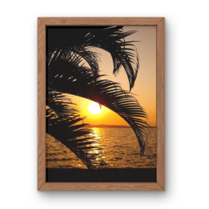 Palmas ao Entardecer (Quadro)